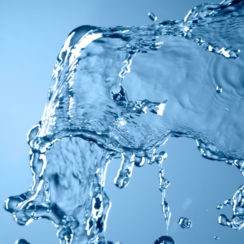 Coatderm Transparent Mask Pack